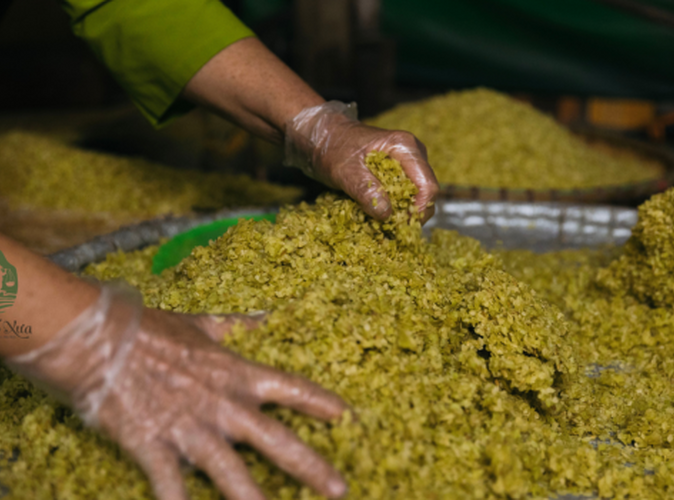 Cốm phố cổ làm từ đâu? Giải mã bí mật tinh hoa ẩm thực Hà Nội