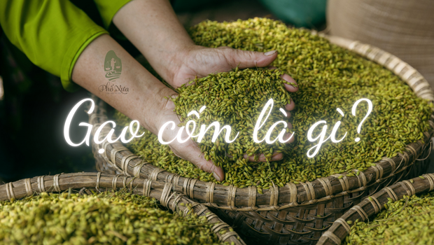 gạo cốm