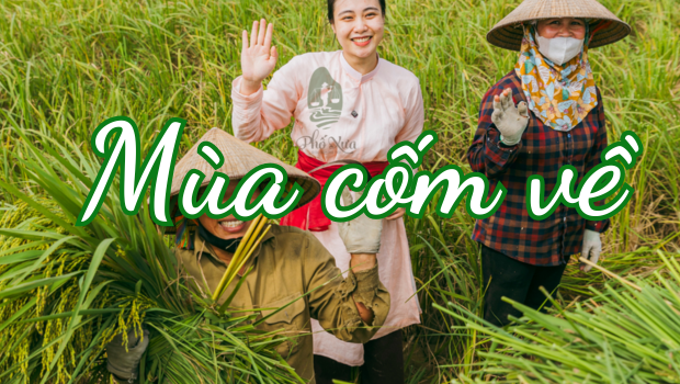 mùa cốm tháng mấy