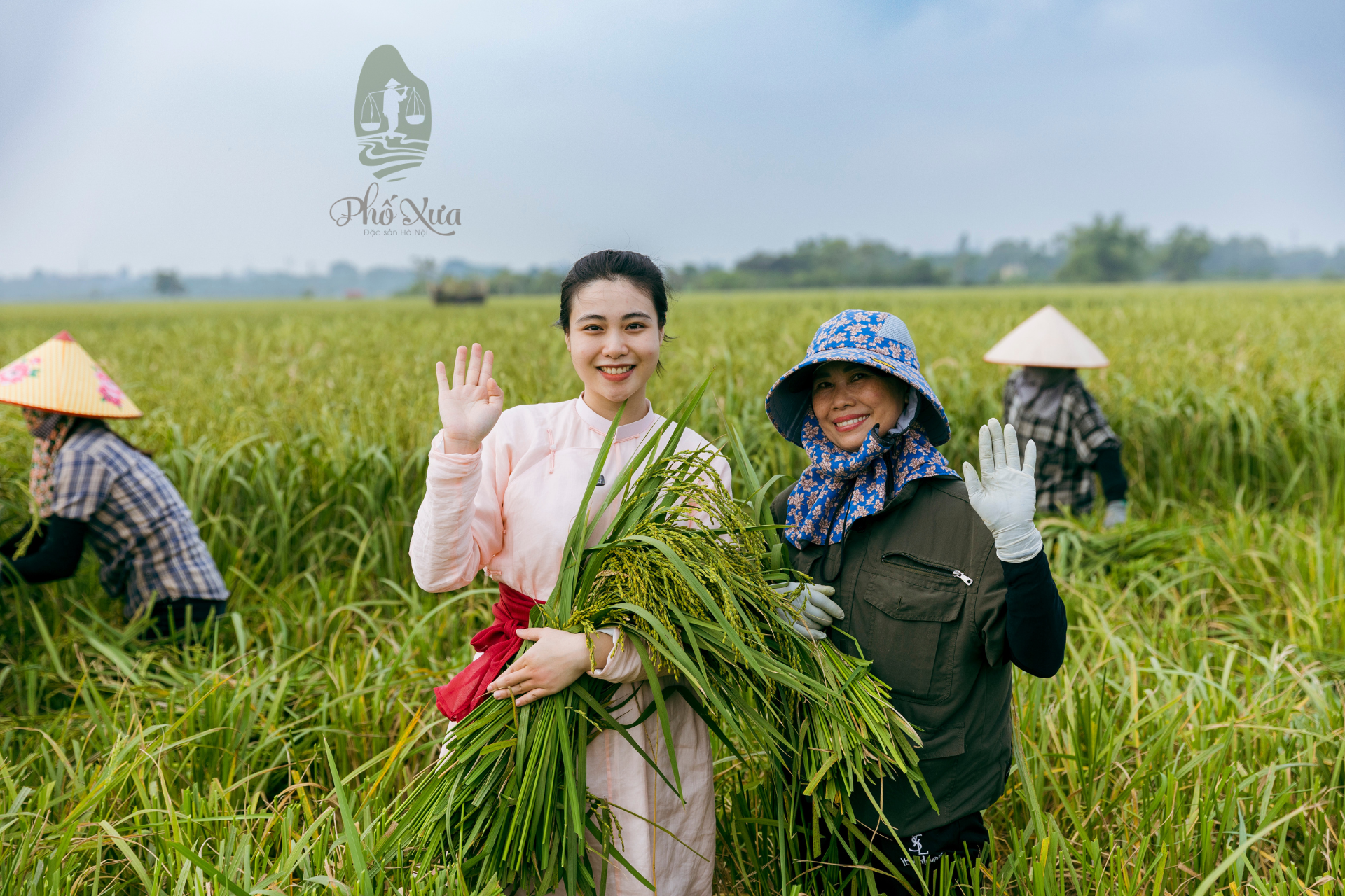 cốm mễ trì